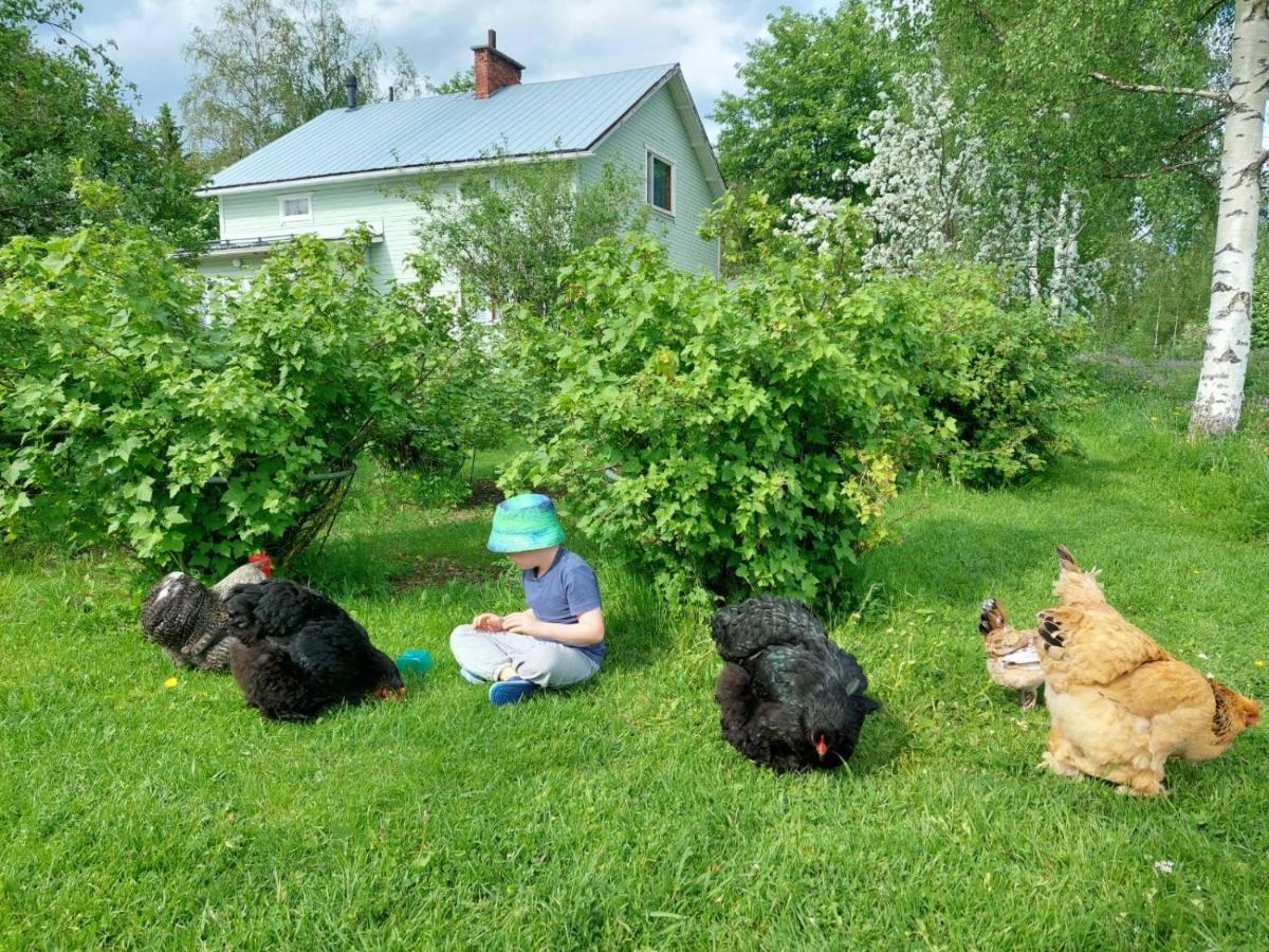 Kivirannan Tupa Ylivieska Exterior foto